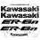ADESIVI KAWASAKI ER-6N (Prodotto compatibile)