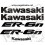Stickers decals KAWASAKI ER-6N (Compatible Product)