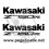 ADESIVOS KAWASAKI Z-750R (Produto compatível)