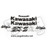 Stickers decals KAWASAKI ZX6R YEAR 2004 - 2005