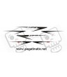 Stickers decals KAWASAKI ZX10R YEAR 2007