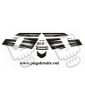 Stickers decals KAWASAKI ZX6R YEAR 2008