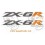 ADESIVOS KAWASAKI ZXR-636 (Produto compatível)