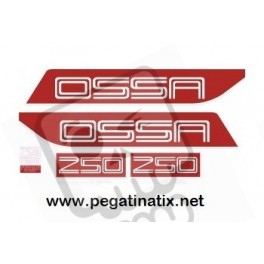 Decals motorcycle OSSA 250 COPA