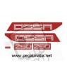 Decals motorcycle OSSA 250 COPA