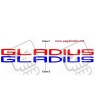  STICKERS DECALS SUZUKI GLADIUS