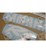 Yamaha YZF-R1 2000 - BLUE VERSION STICKER SET
