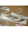 Yamaha YZF-R1 2002 - SILVER VERSION STICKER SET