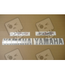 Yamaha YZF-R6 2007 - GREY VERSION DECALS SET