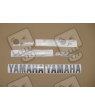 Yamaha YZF-R6 2008 - SILVER VERSION DECALS SET