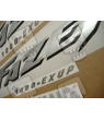 YAMAHA FZS1000 FAZER 2005 - TITANIUM GREY VERSION DECALS SET