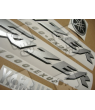 YAMAHA FZS1000 FAZER 2005 - TITANIUM GREY VERSION DECALS SET
