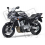 ADESIVI YAMAHA FZS1000 FAZER 2005 - TITANIUM GREY VERSION DECALS SET (Prodotto compatibile)