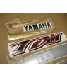 YAMAHA TDM 850 1999 GOLD/SILVER VERSION DECALS SET