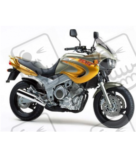 YAMAHA TDM 850 1999 GOLD/SILVER VERSION DECALS SET
