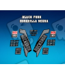 STICKERS FORK ROCK SHOX XC30 2017 AM124