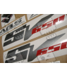 Suzuki SV 650 2007 - TITANIUM GREY VERSION DECALS