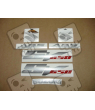 Suzuki SV 650 2007 - TITANIUM GREY VERSION DECALS
