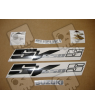 Suzuki SV 650S 2005 - YELLOW VERSION DECALS