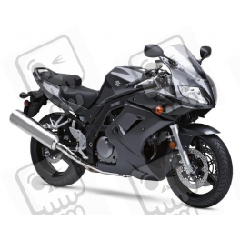 Suzuki SV 650S 2007 - TITANIUM VERSION DECALS