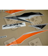 Honda CBR 600RR 2009 - GREEN/BLACK VERSION DECALS