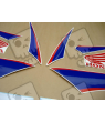 Honda CBR 600RR 2011 - WHITE/BLUE/BLACK VERSION DECALS