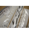 Honda CBR 1000RR 2006 - BLACK VERSION DECALS