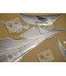 Honda CBR 1000RR 2006 - SILVER VERSION DECALS